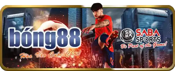 Hình ảnh minh họa câu hỏi thường gặp về 189 bet
